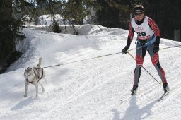 San Bernardino 2011